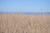 <I>Ten Mile Beach</I><br>Mendocino, California, 2013<br><br>GC0348