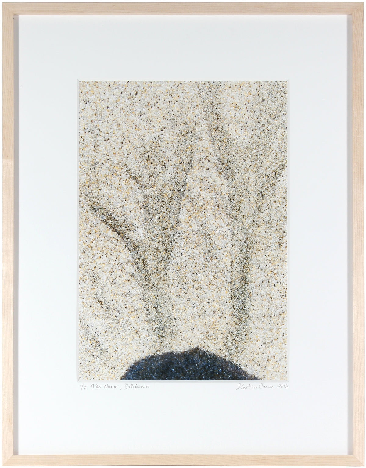 <I>Año Nuevo</I><br>Año Nuevo State Beach, California, 2013<br><br>GC0350