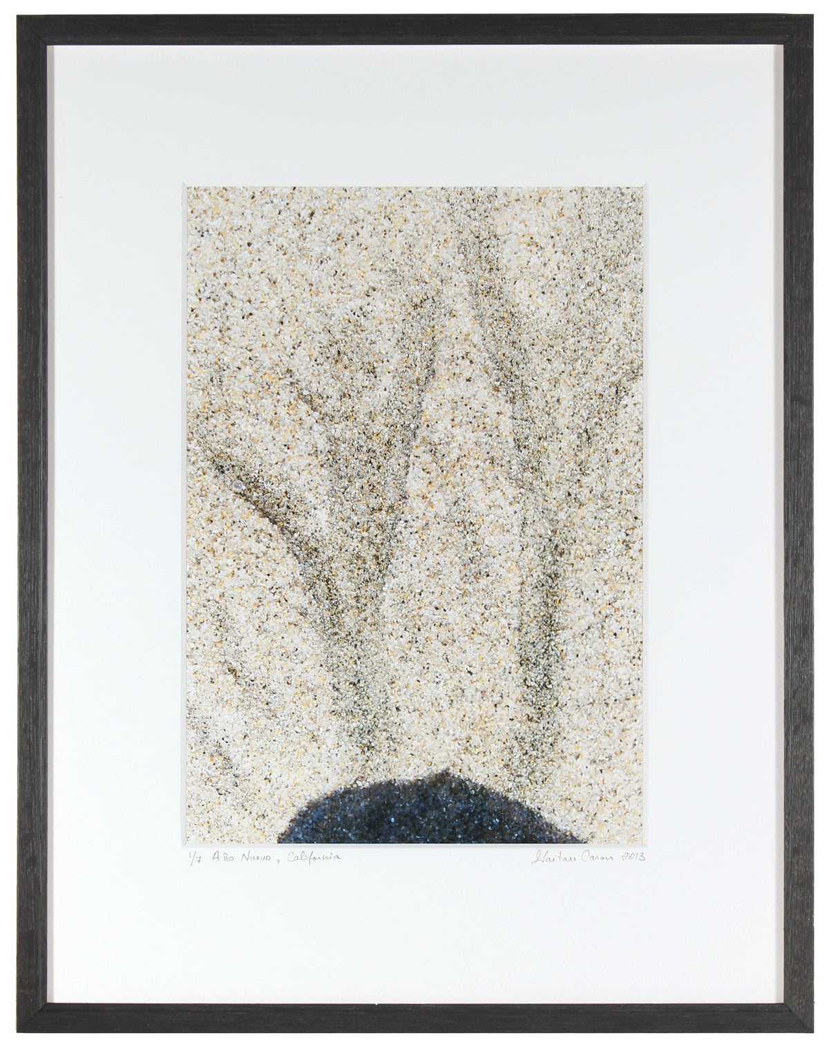 <I>Año Nuevo</I><br>Año Nuevo State Beach, California, 2013<br><br>GC0350