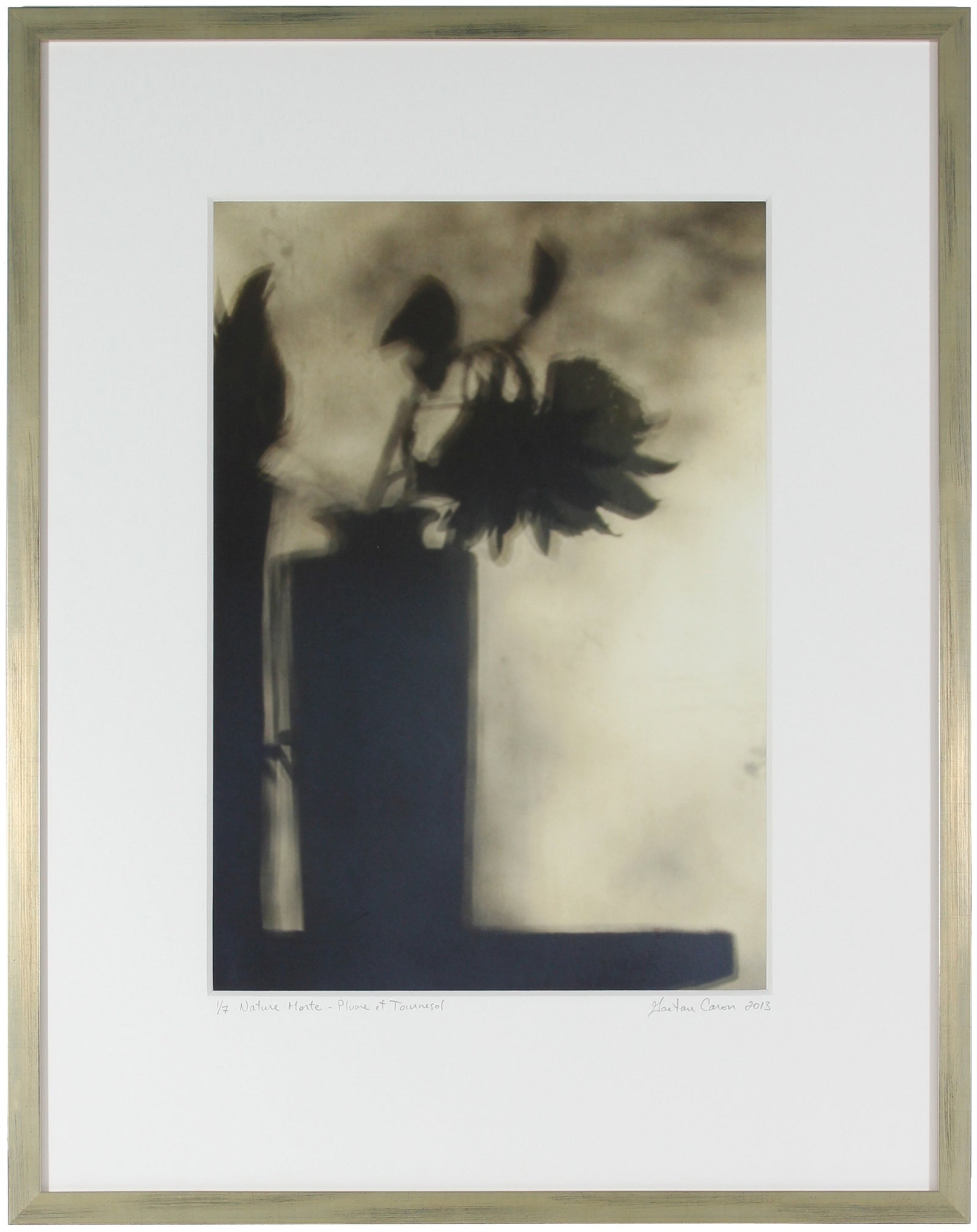 <I>Still Life with Feather & Sunflower (Nature morte avec plume et tournesol)</I><br>Mendocino, California, 2013<br><br>GC0351