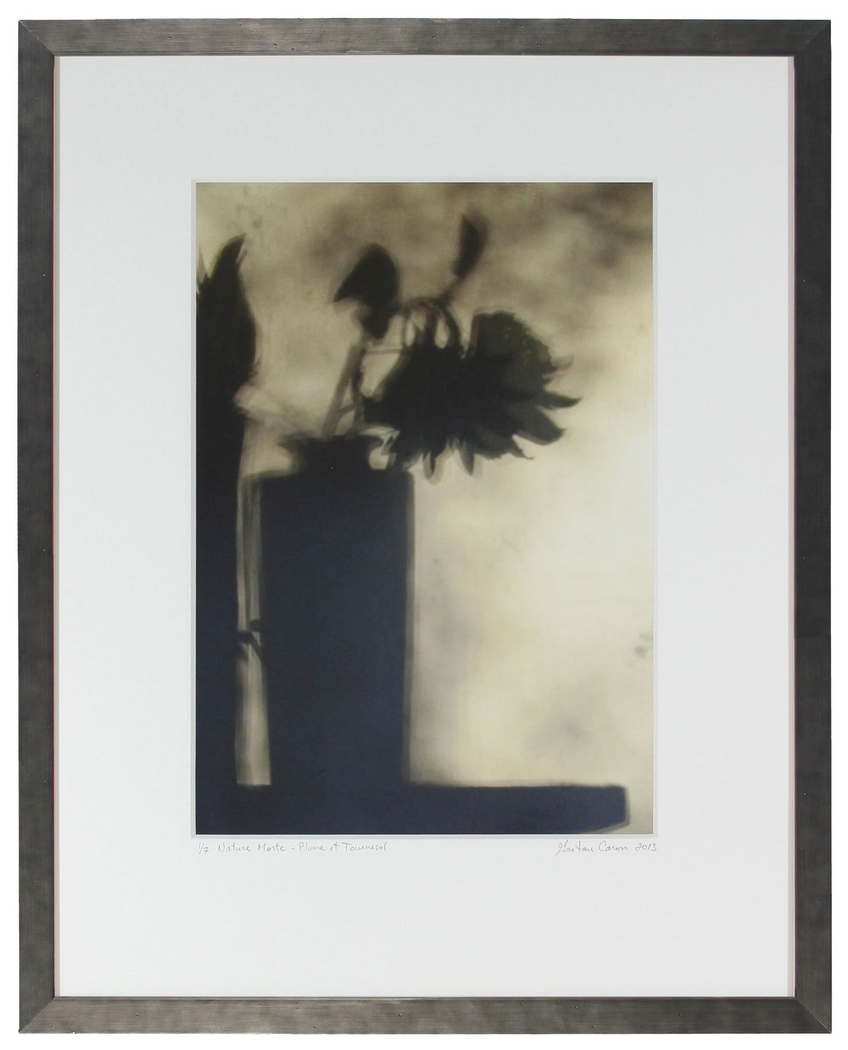 <I>Still Life with Feather & Sunflower (Nature morte avec plume et tournesol)</I><br>Mendocino, California, 2013<br><br>GC0351