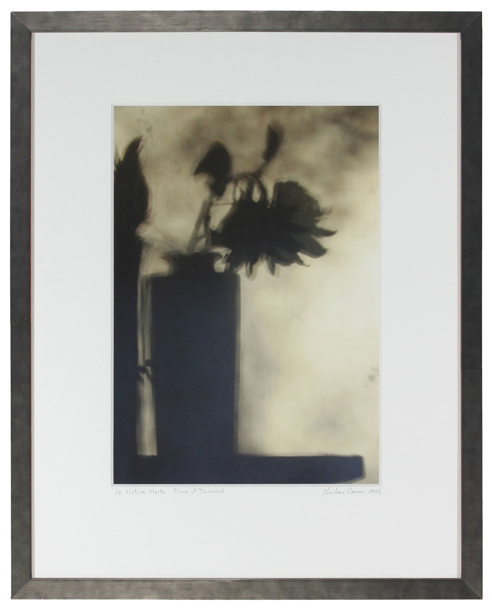 <I>Still Life with Feather & Sunflower (Nature morte avec plume et tournesol)</I><br>Mendocino, California, 2013<br><br>GC0351