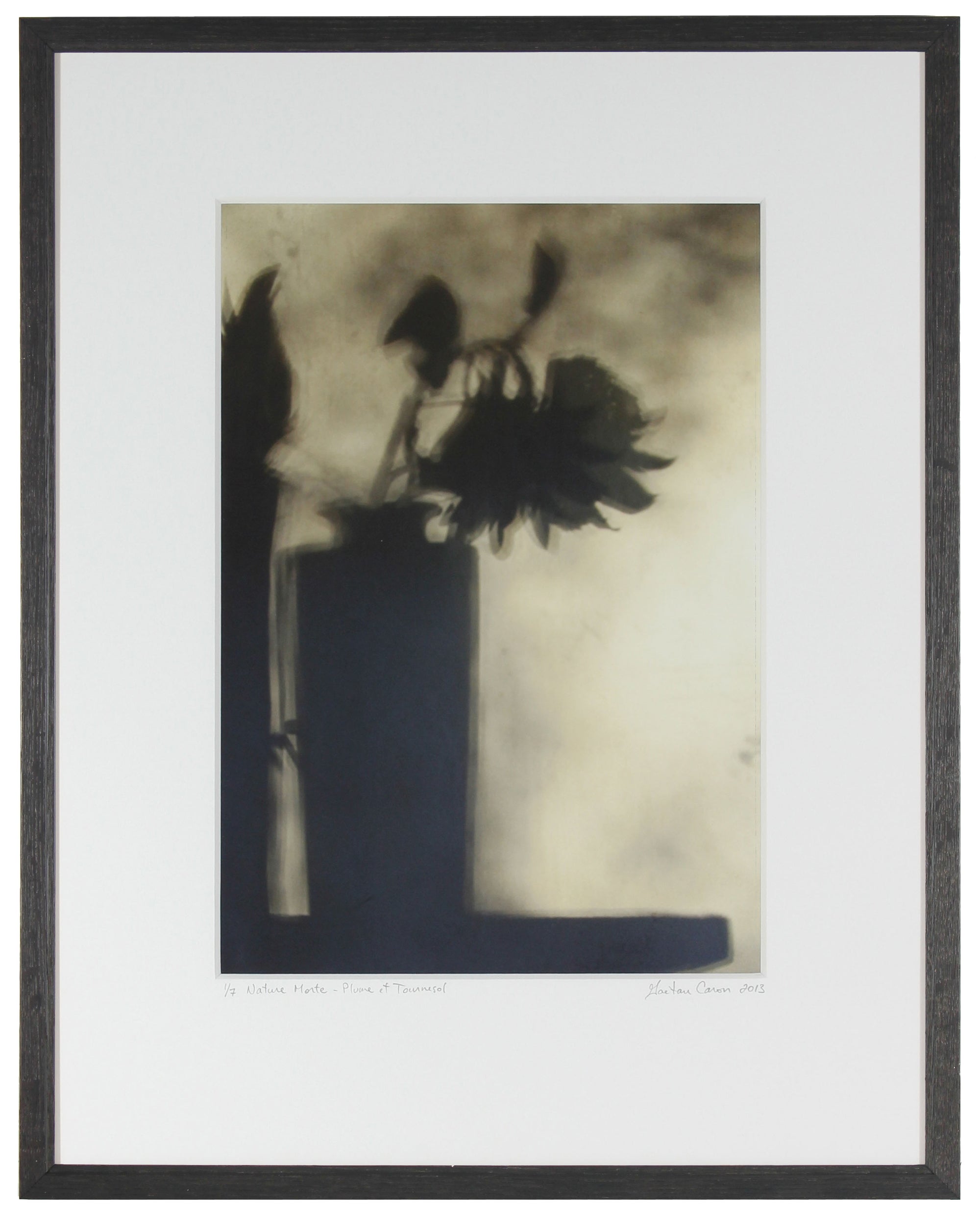 <I>Still Life with Feather & Sunflower (Nature morte avec plume et tournesol)</I><br>Mendocino, California, 2013<br><br>GC0351