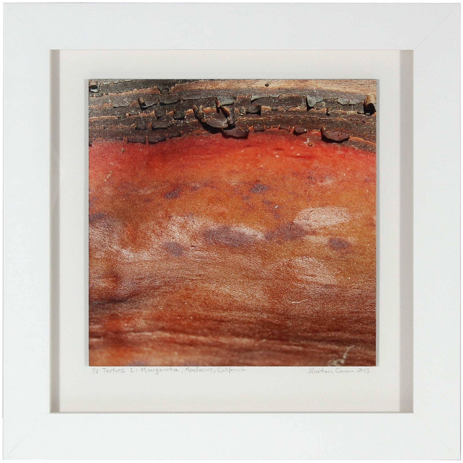 <I>Texture 1: Manzanita</I><br>Mendocino, California, 2013<br><br>GC0352