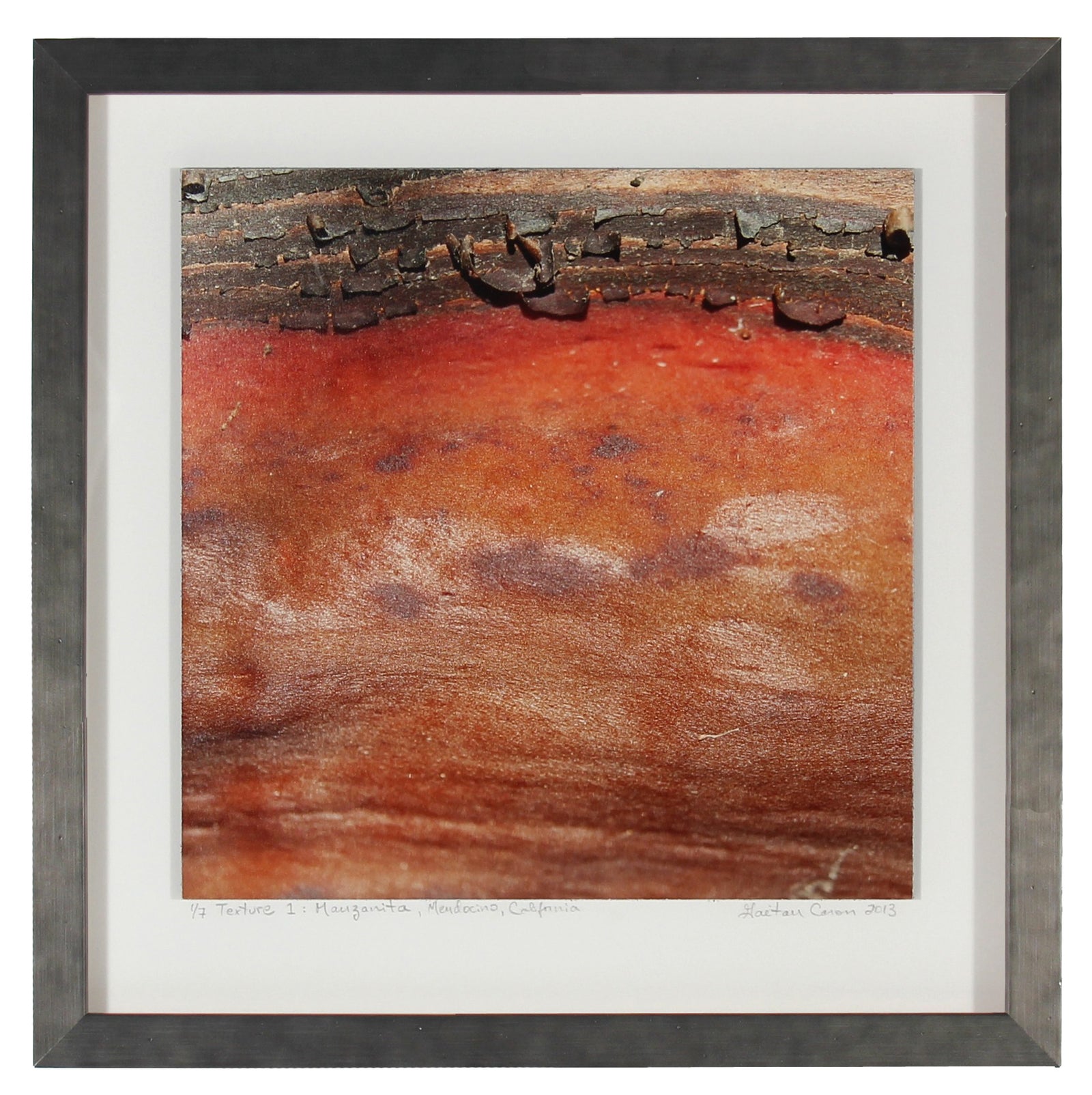 <I>Texture 1: Manzanita</I><br>Mendocino, California, 2013<br><br>GC0352