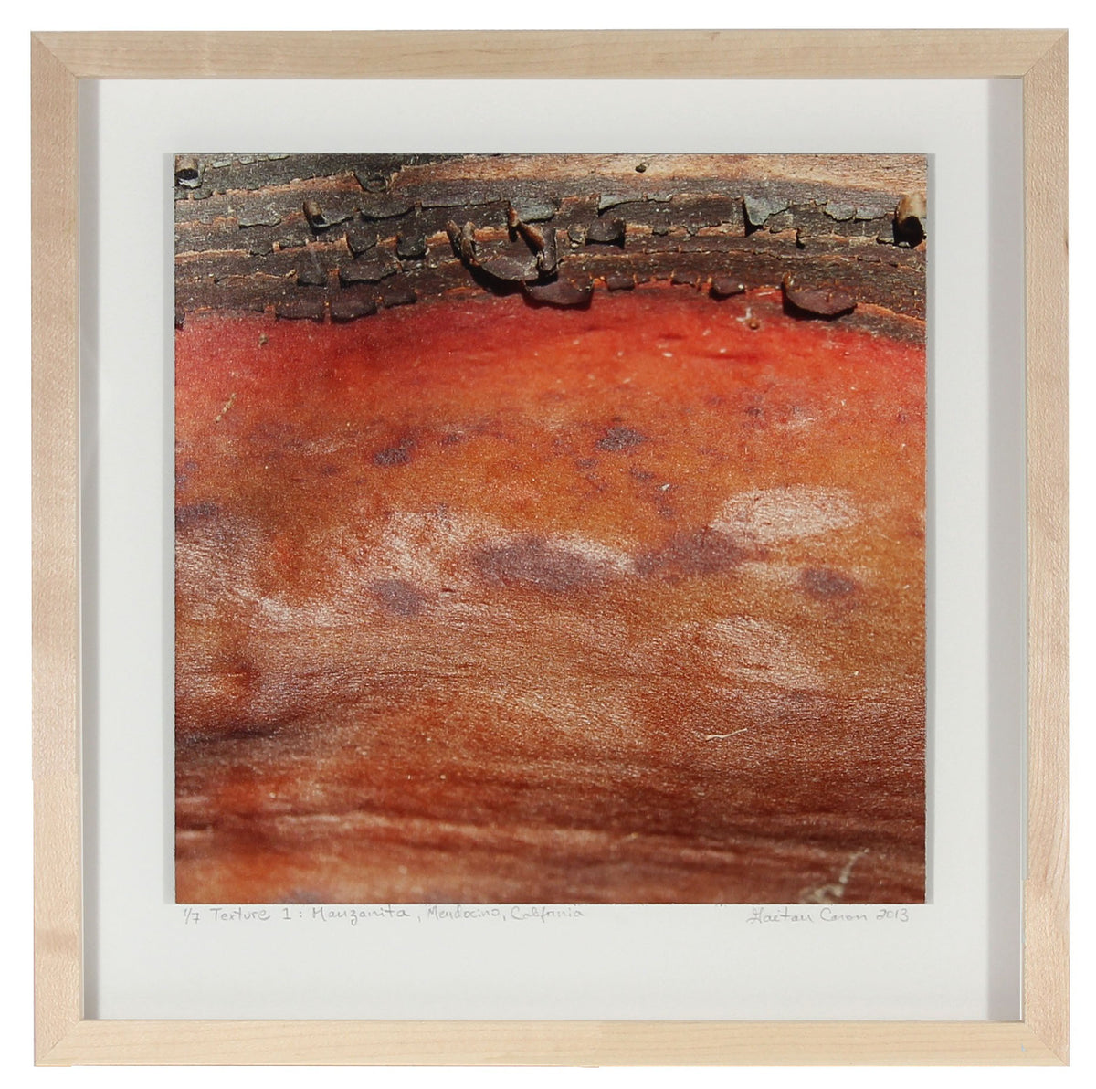 <I>Texture 1: Manzanita</I><br>Mendocino, California, 2013<br><br>GC0352