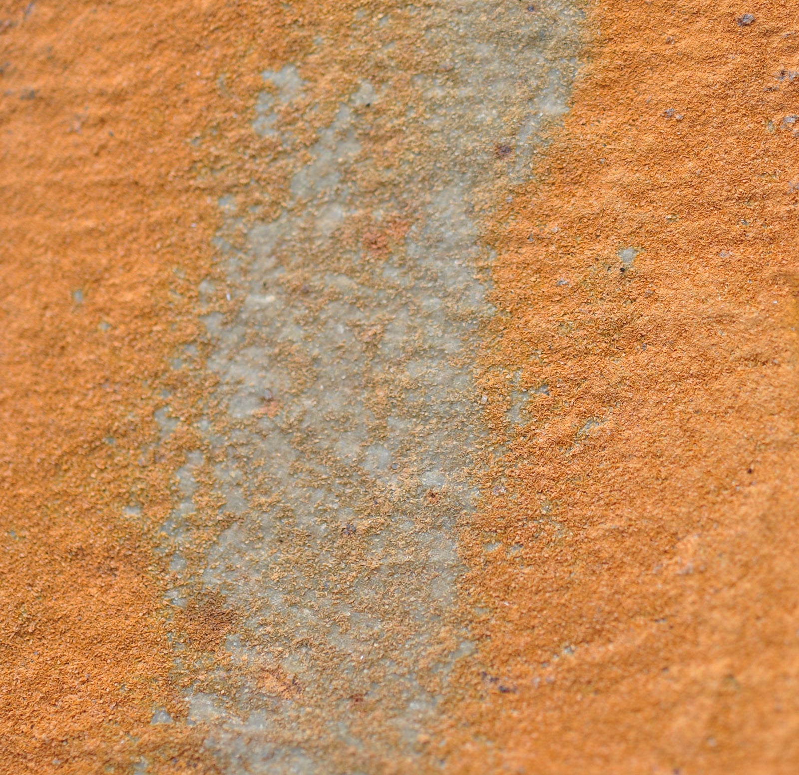 <I>Texture 2: Ochre</I><br>Coastal Maine, 2013<br><br>GC0353