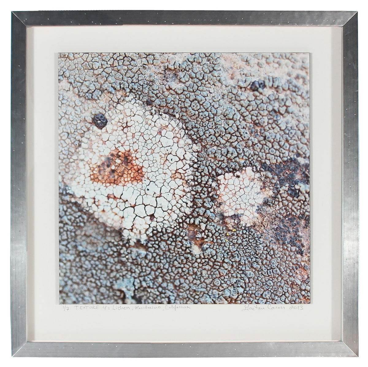 <I>Texture 4: Lichen</I><br>Mendocino, California, 2013<br><br>GC0354