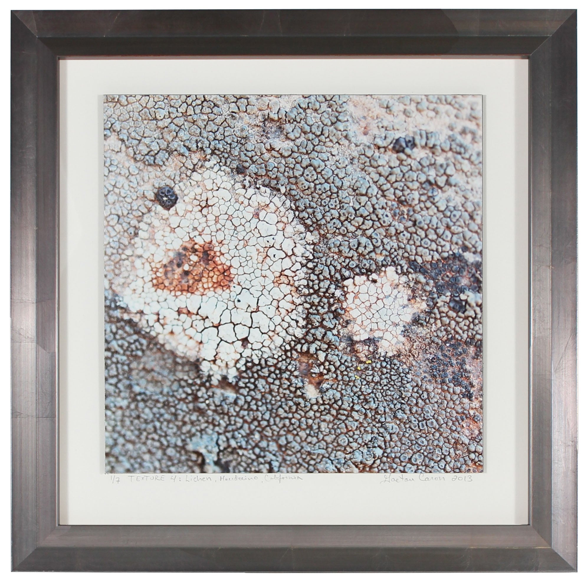 <I>Texture 4: Lichen</I><br>Mendocino, California, 2013<br><br>GC0354