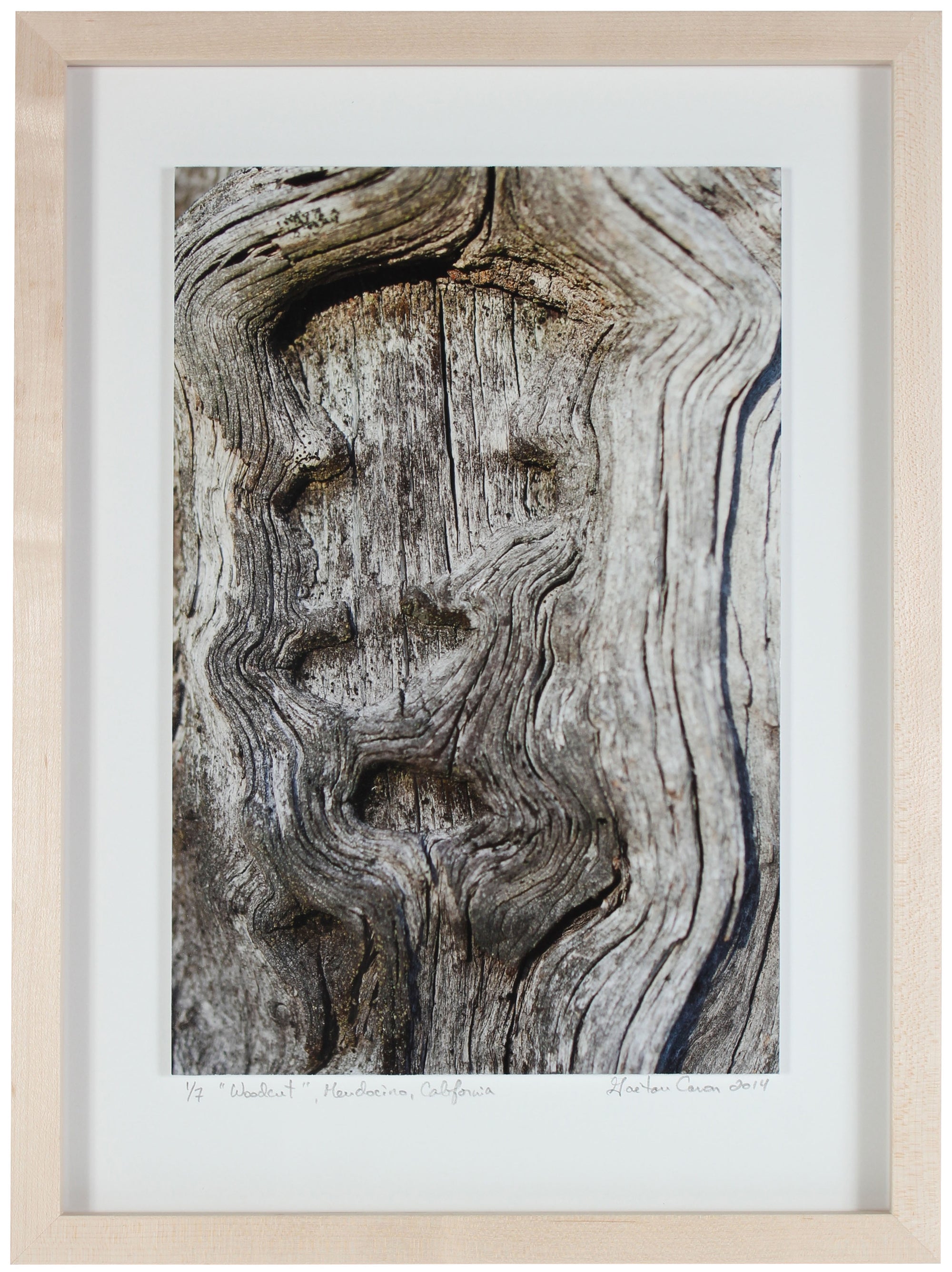 <I>Woodcut</I><br>Mendocino, California, 2014<br><br>GC0367