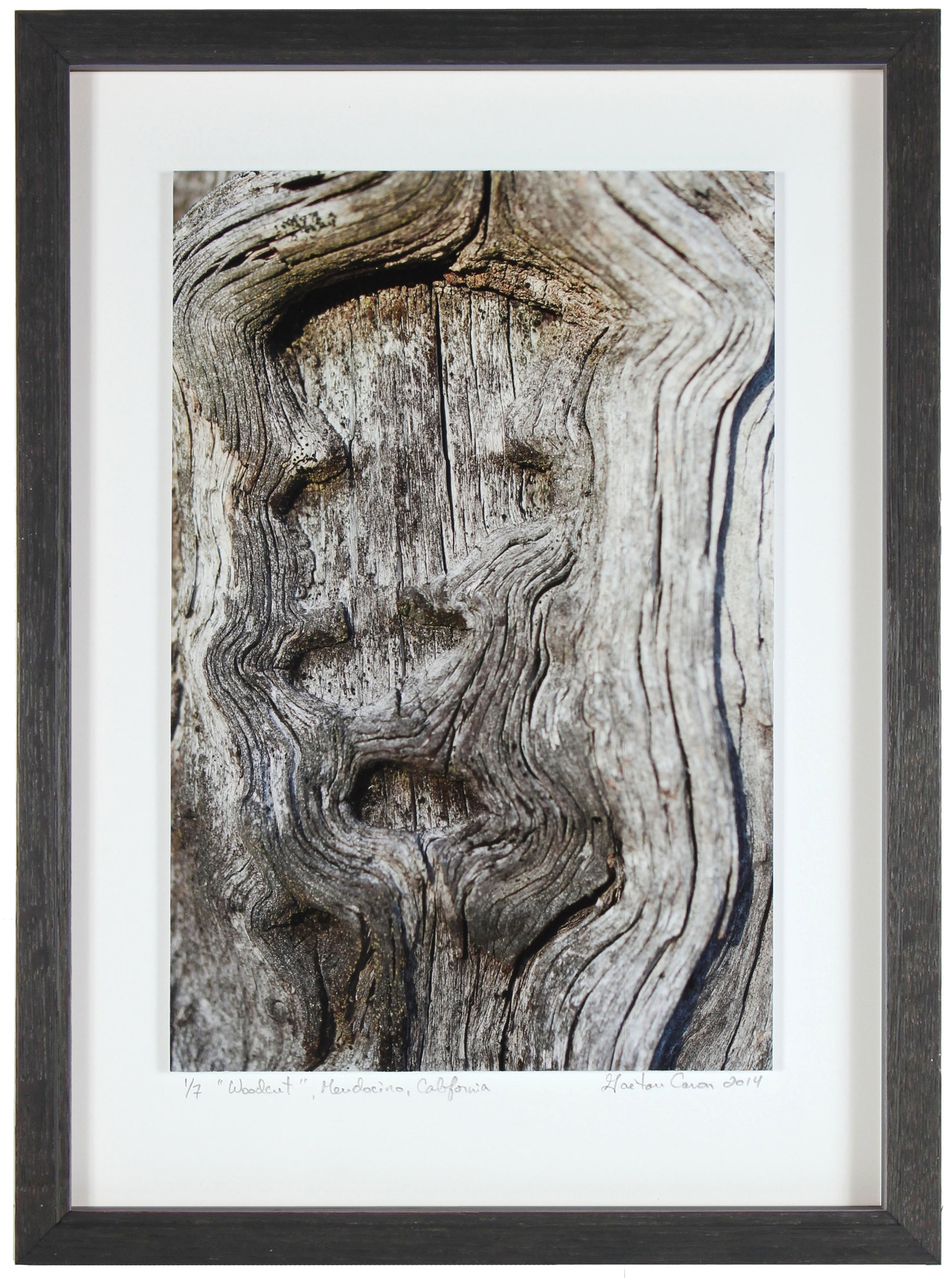 <I>Woodcut</I><br>Mendocino, California, 2014<br><br>GC0367