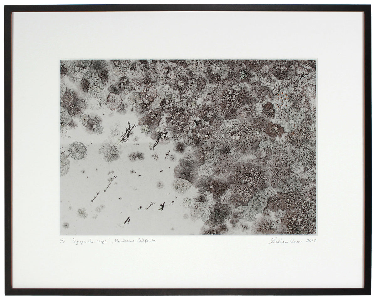 <I>Paysage de neige (Snowscape)</I><br>Mendocino, California, 2014<br><br>GC0371