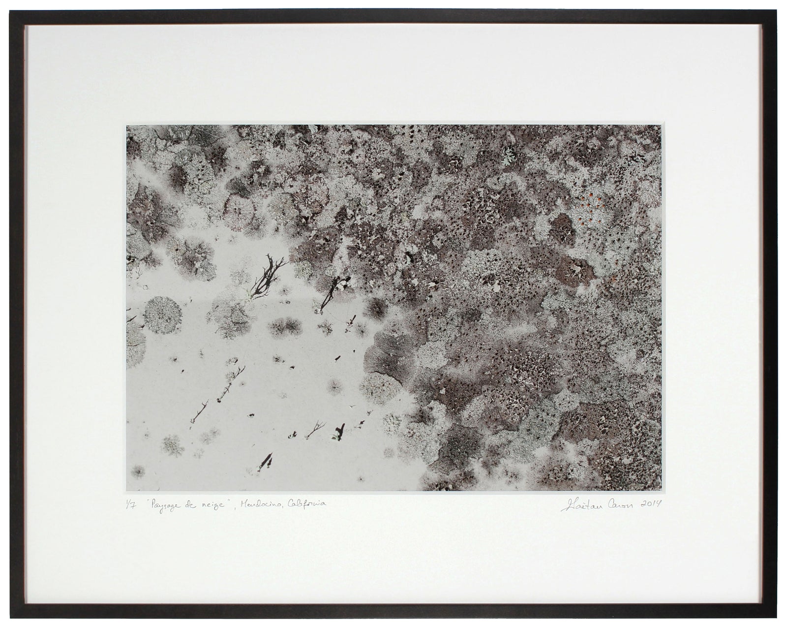 <I>Paysage de neige (Snowscape)</I><br>Mendocino, California, 2014<br><br>GC0371