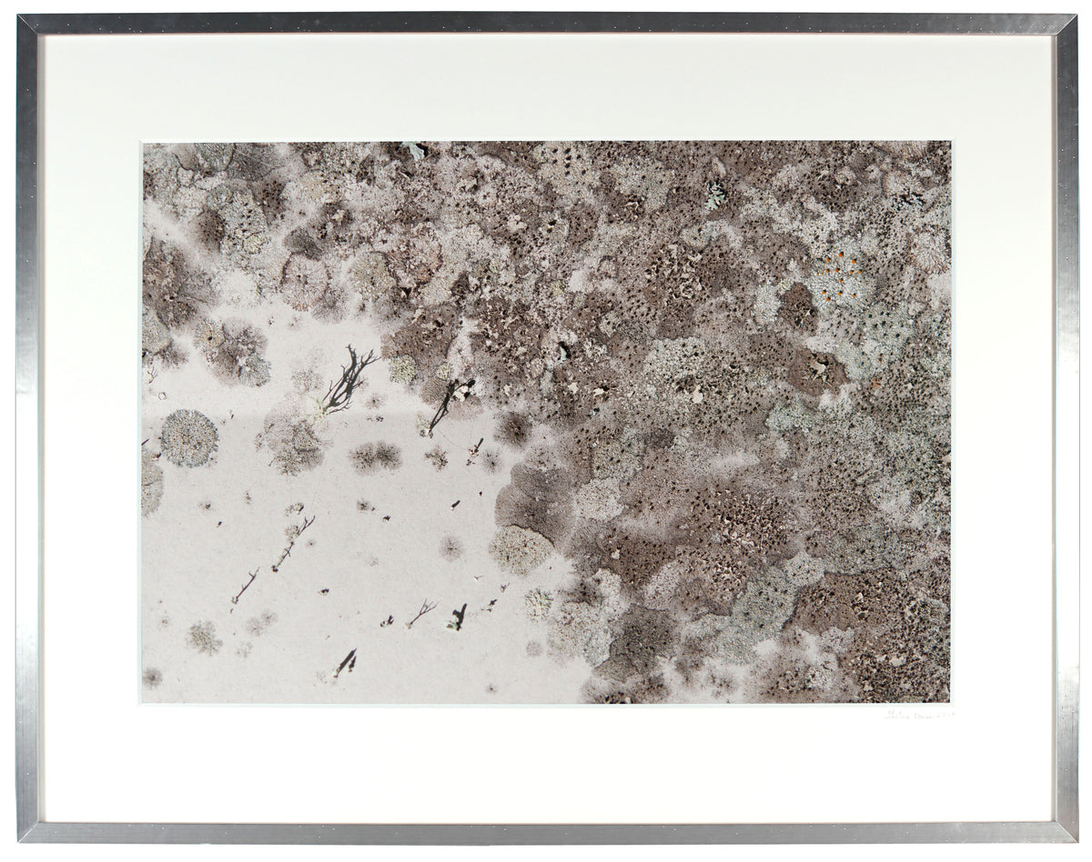 <I>Paysage de neige (Snowscape)</I><br>Mendocino, California, 2014<br><br>GC0371