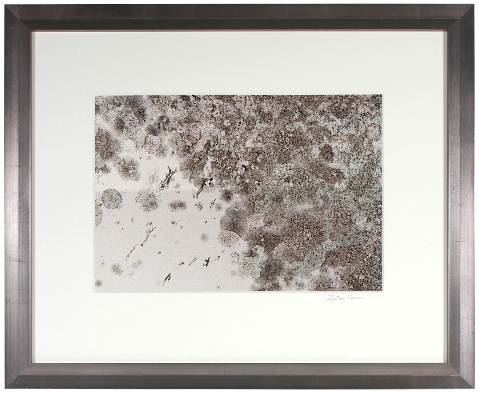 <I>Paysage de neige (Snowscape)</I><br>Mendocino, California, 2014<br><br>GC0371