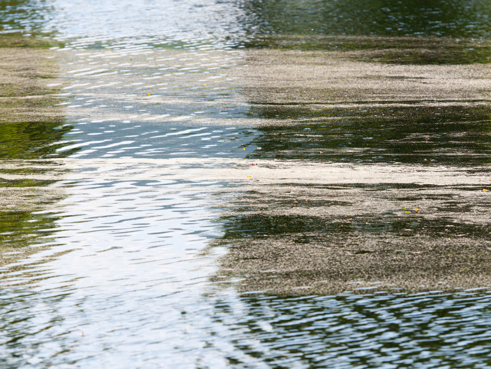 <I>Faerie Dust</I><br>Storm King, New York, 2014<br><br>GC0372