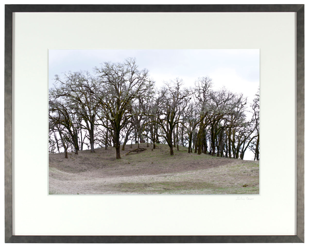 <I>Mountain Pose, Tadasana</I><br>Mendocino, California, 2014<br><br>GC0374