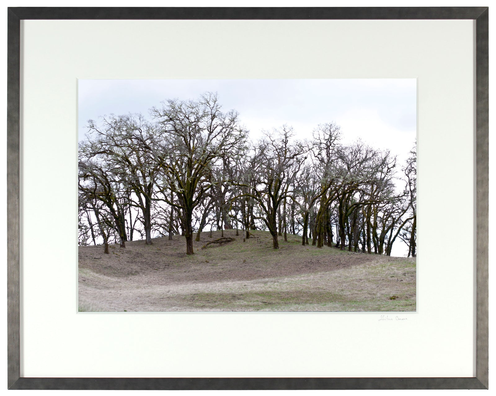 <I>Mountain Pose, Tadasana</I><br>Mendocino, California, 2014<br><br>GC0374