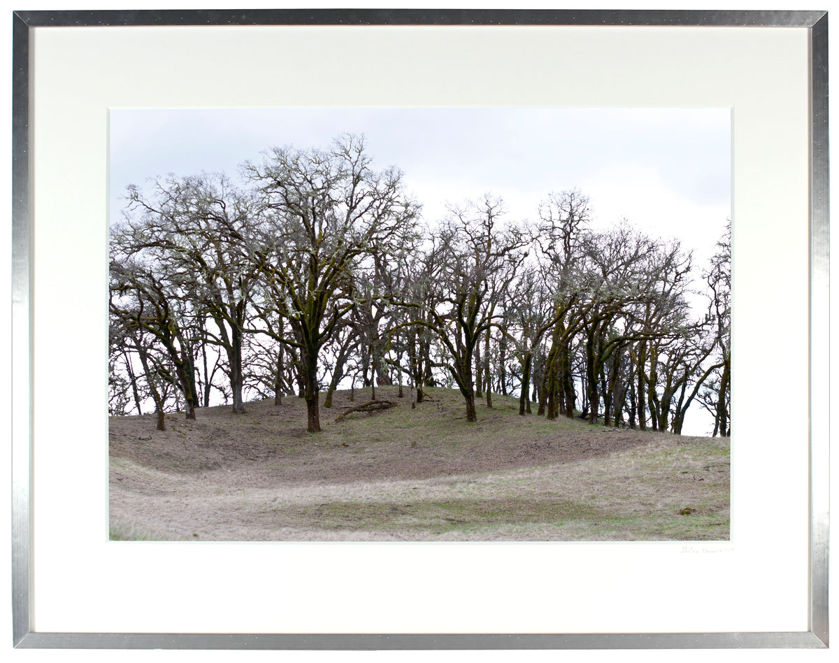 <I>Mountain Pose, Tadasana</I><br>Mendocino, California, 2014<br><br>GC0374