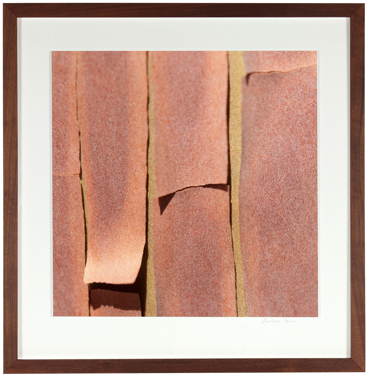 <I>Texture 5: Madrone Bark</I><br>Mendocino, California, 2014<br><br>GC0376