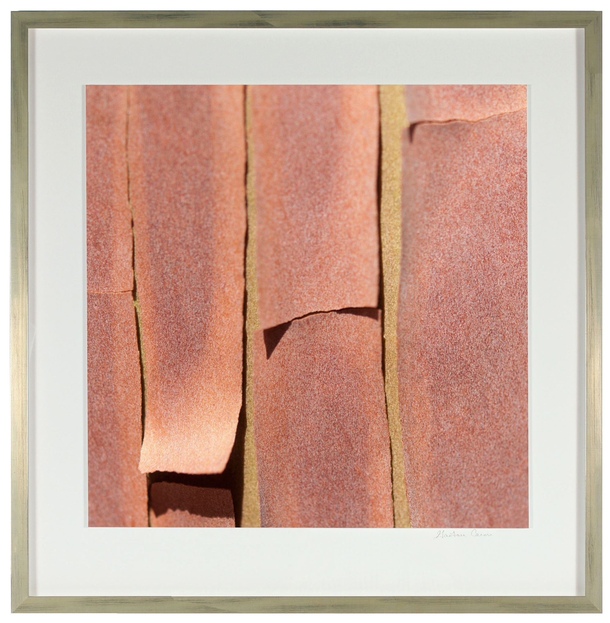 <I>Texture 5: Madrone Bark</I><br>Mendocino, California, 2014<br><br>GC0376