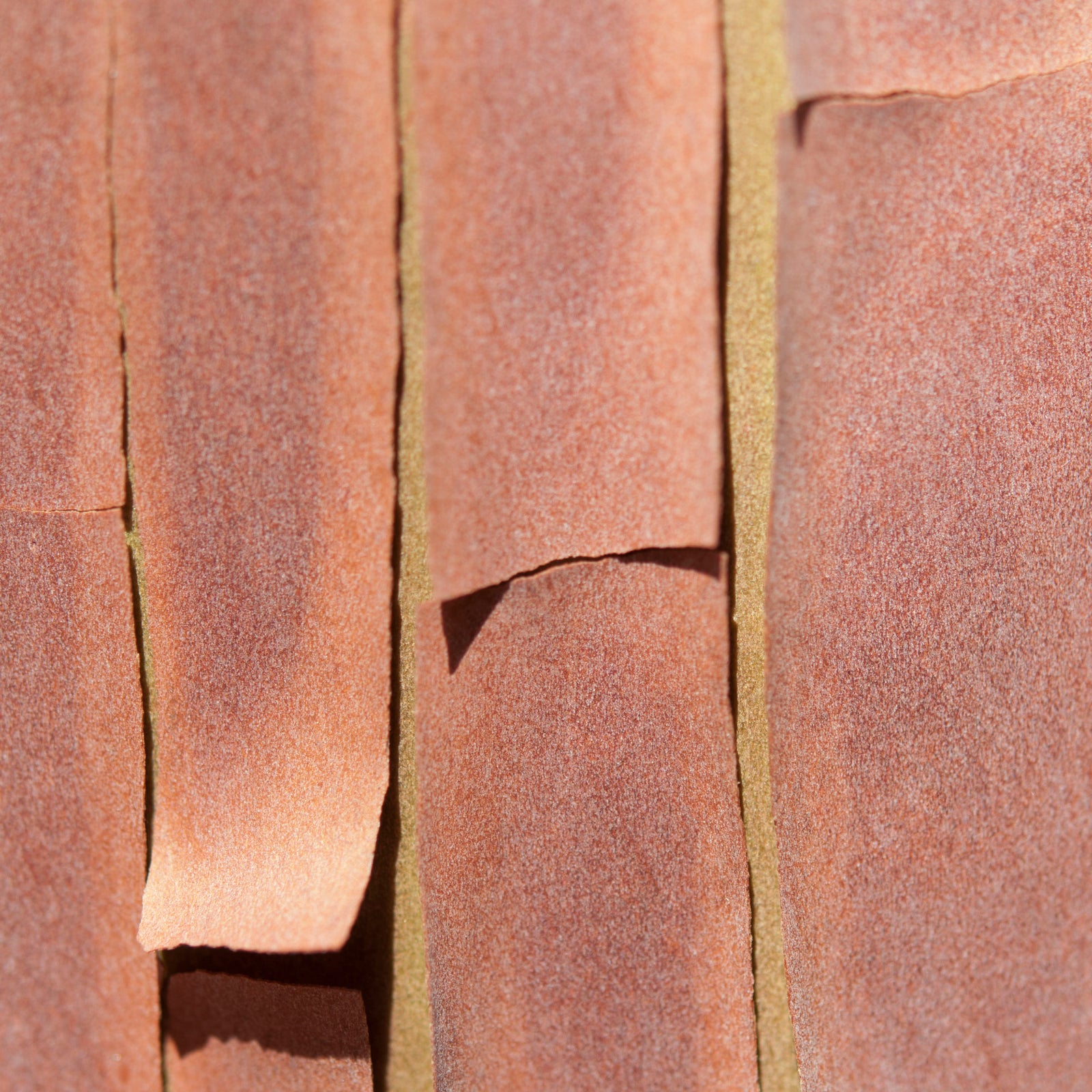 <I>Texture 5: Madrone Bark</I><br>Mendocino, California, 2014<br><br>GC0376