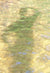 <I>Self Portrait in Gold</I><br>Marsh Pond, New Hampshire, 2014<br><br>GC0381