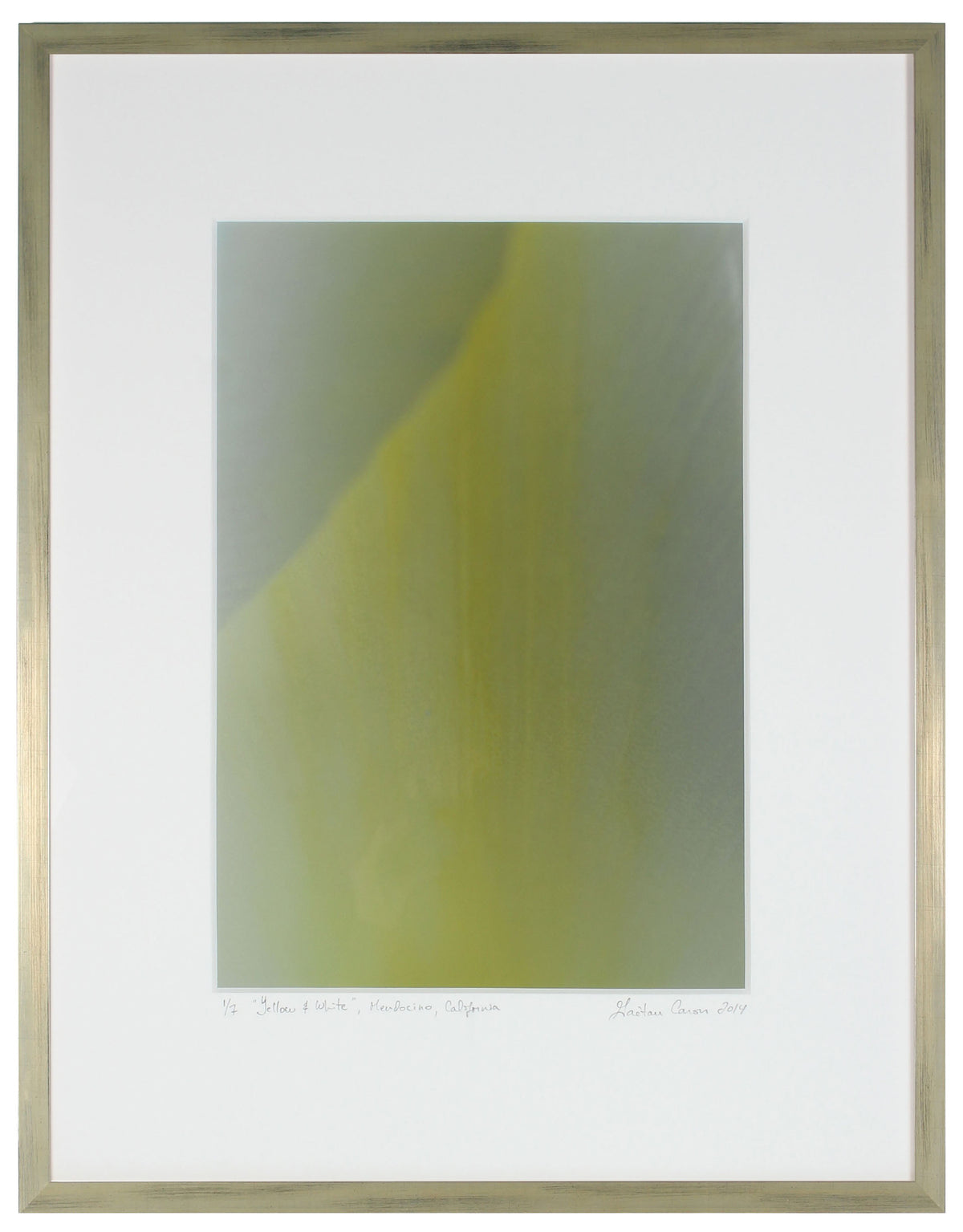 <I>Yellow & White (Tulip)</I><br>Mendocino, California, 2014<br><br>GC0383