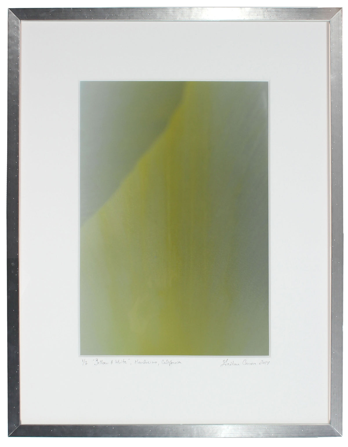 <I>Yellow & White (Tulip)</I><br>Mendocino, California, 2014<br><br>GC0383