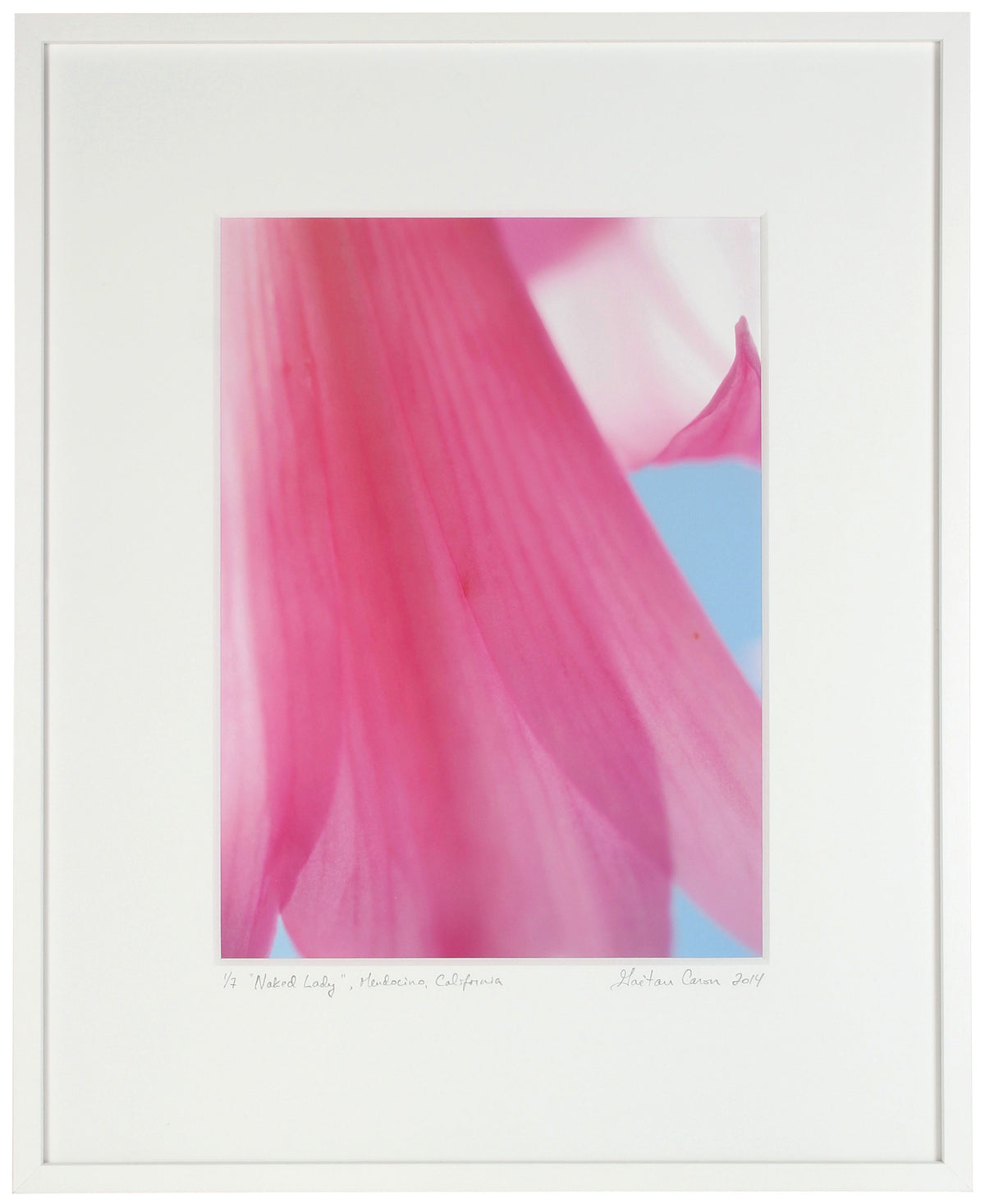 <I>Naked Lady</I><br>Mendocino, California, 2014<br><br>GC0384