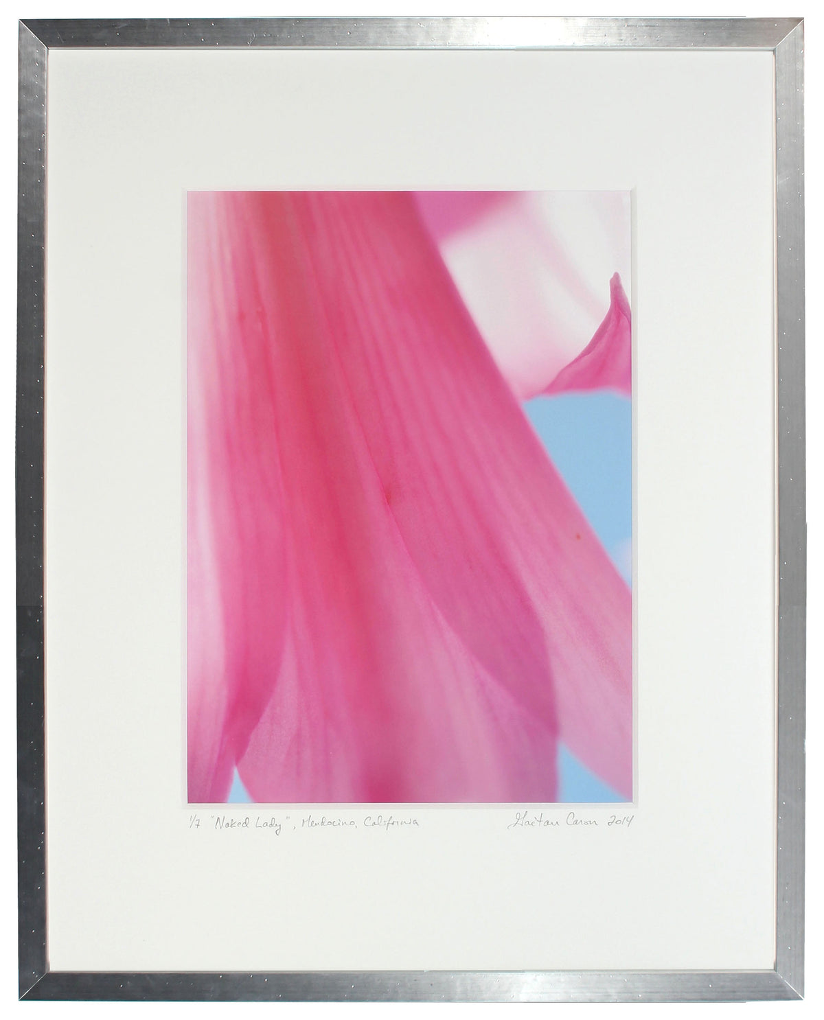 <I>Naked Lady</I><br>Mendocino, California, 2014<br><br>GC0384