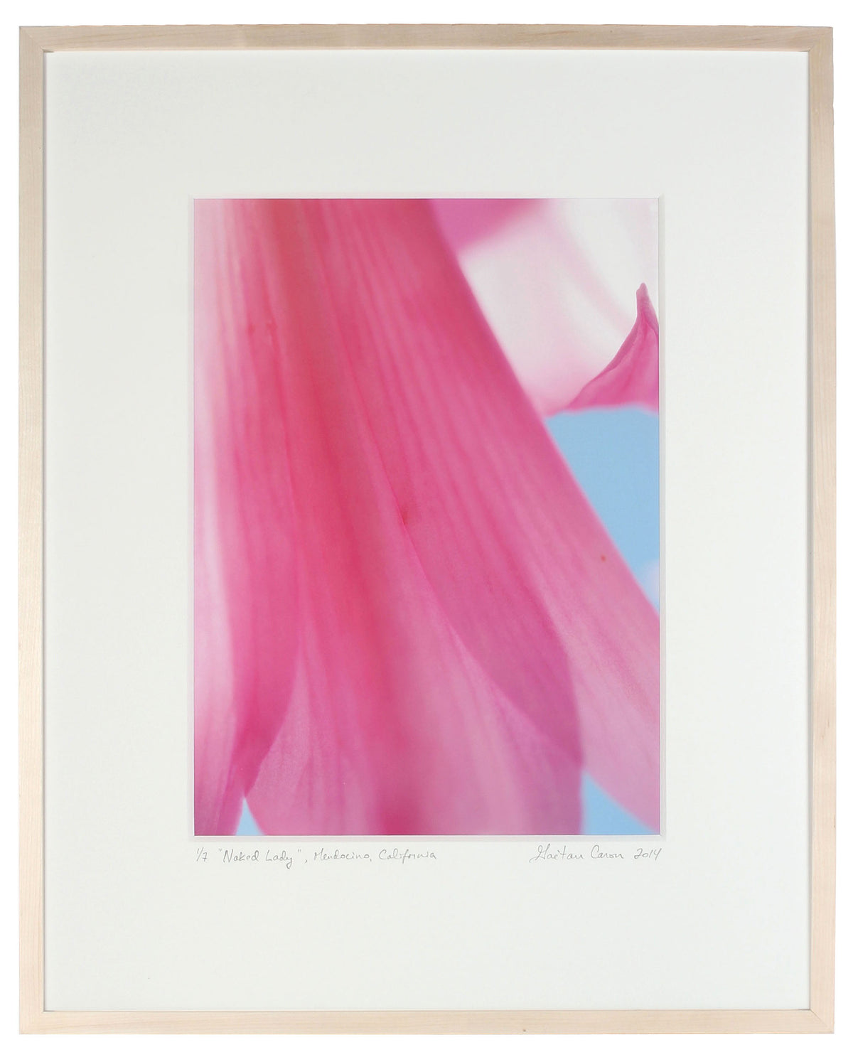 <I>Naked Lady</I><br>Mendocino, California, 2014<br><br>GC0384