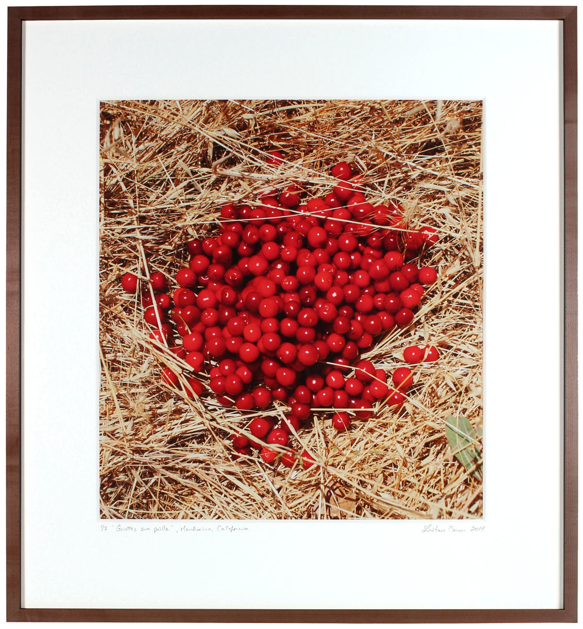 <I>Griottes sur paille (Morello Cherries on Straw</I><br>Mendocino, California, 2014<br><br>GC0386