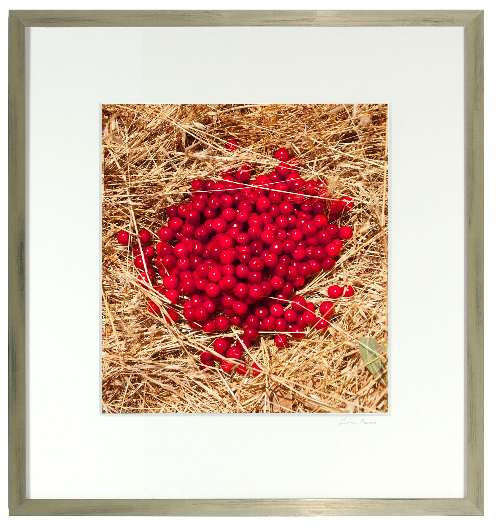 <I>Griottes sur paille (Morello Cherries on Straw</I><br>Mendocino, California, 2014<br><br>GC0386