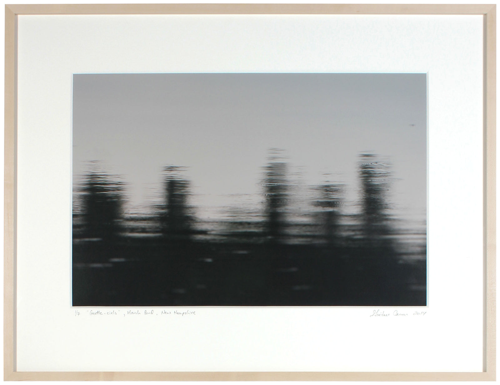 <I>Gratte-ciels (Skyscrapers)</I><br>Marsh Pond, New Hampshire, 2014<br><br>GC0388