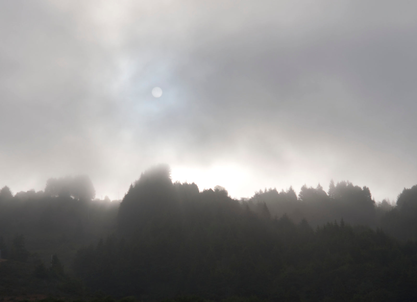 <I>Early Morning, Sun & Fog</I><br>Mendocino Coast, California, 2015<br><br>GC0392