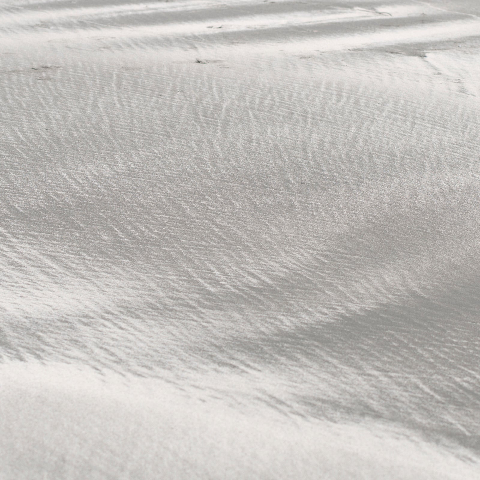 <I>Texture 10: Shell Dust</I><br>Mendocino Coast, California, 2015<br><br>GC0393