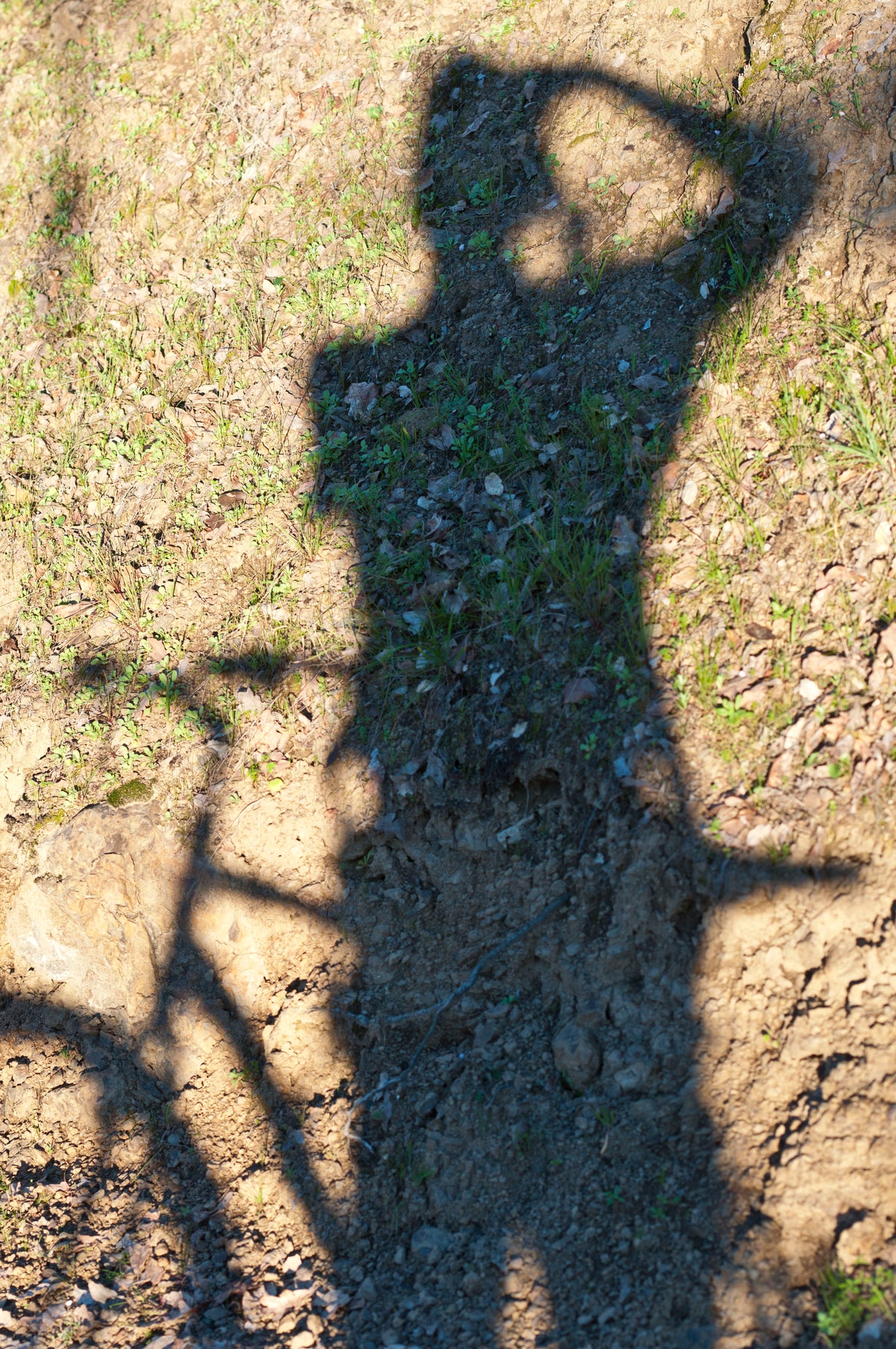 &lt;I&gt;À Vélo - auto portrait (Self-Portrait with Bicycle)&lt;/I&gt;&lt;br&gt;Mendocino, California, 2015&lt;br&gt;&lt;br&gt;GC0397