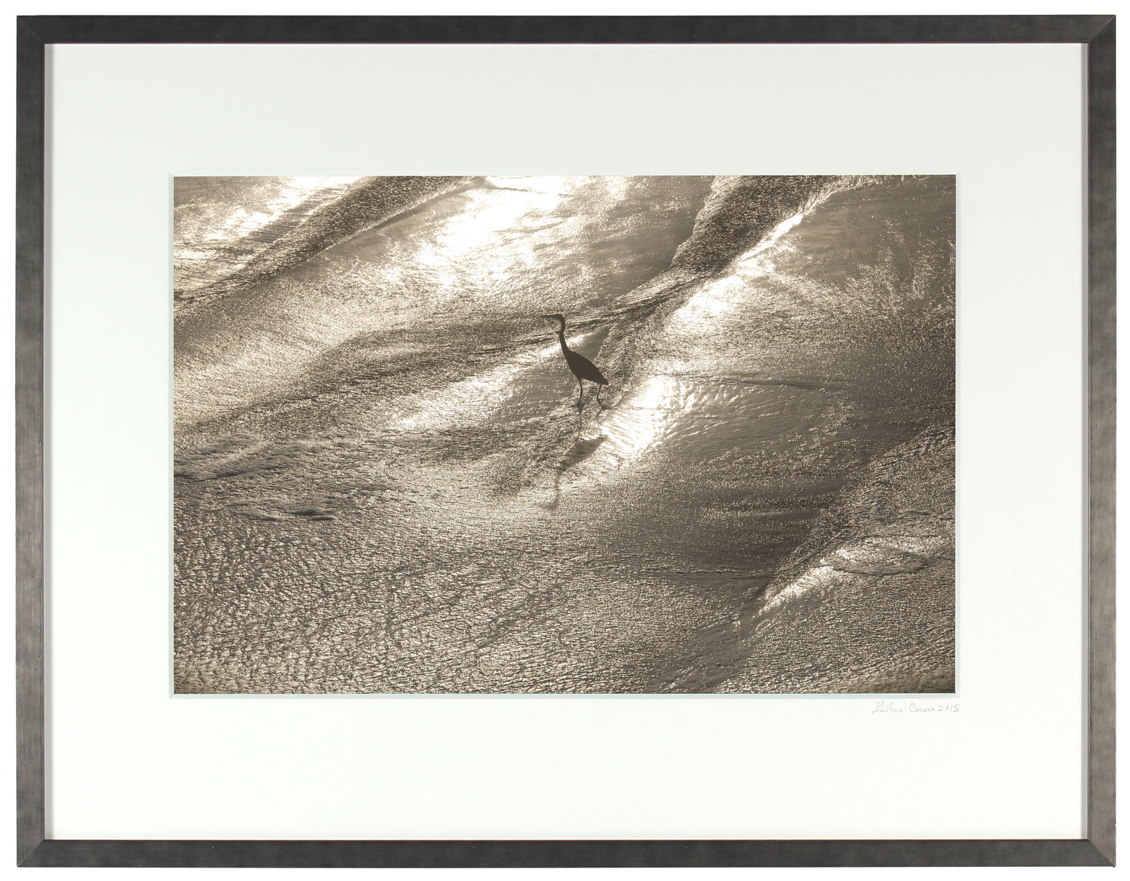 <I>Wading</I><br>Mendocino Coast, California, 2015<br><br>GC0398