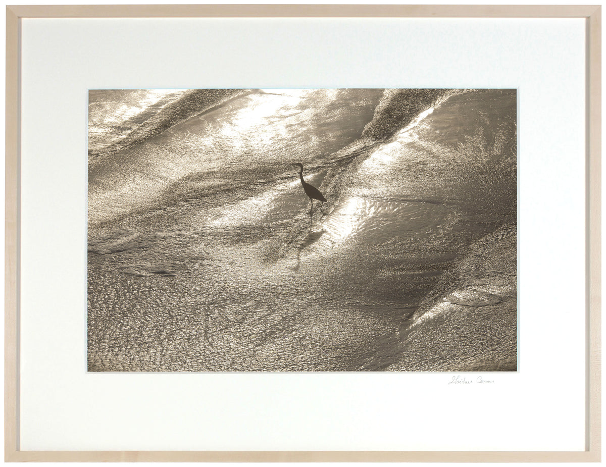 <I>Wading</I><br>Mendocino Coast, California, 2015<br><br>GC0398