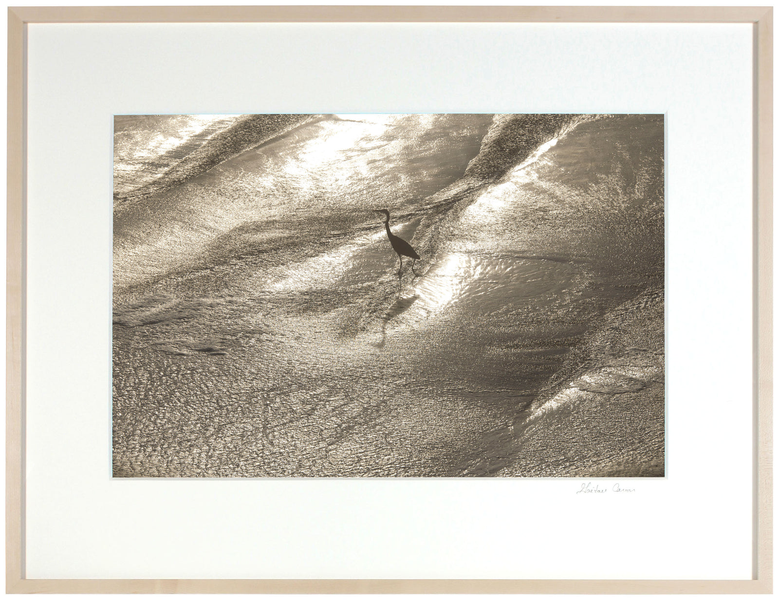 <I>Wading</I><br>Mendocino Coast, California, 2015<br><br>GC0398