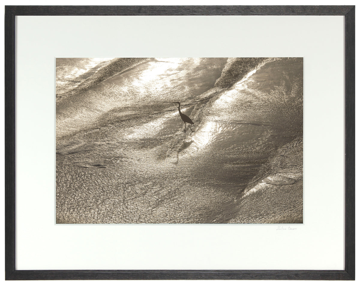 <I>Wading</I><br>Mendocino Coast, California, 2015<br><br>GC0398