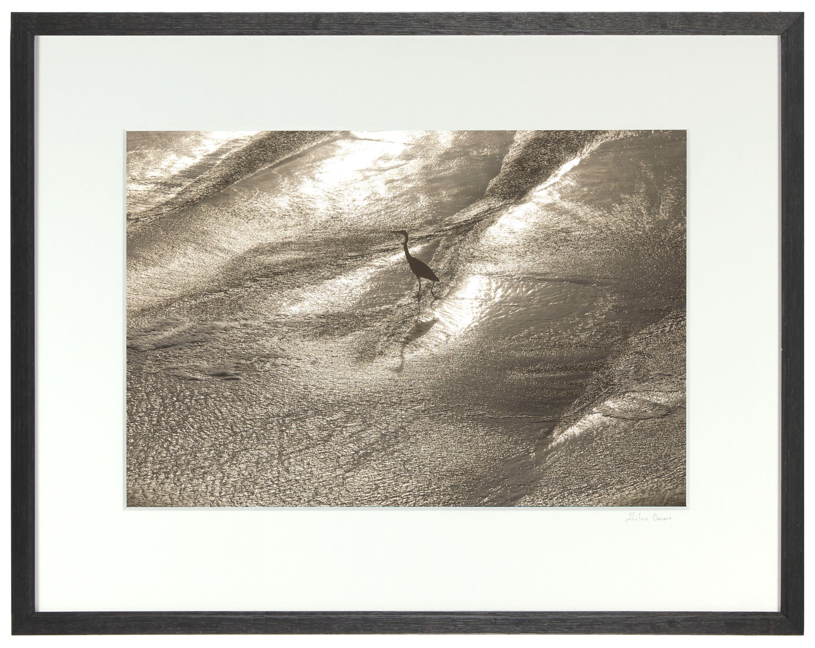 <I>Wading</I><br>Mendocino Coast, California, 2015<br><br>GC0398