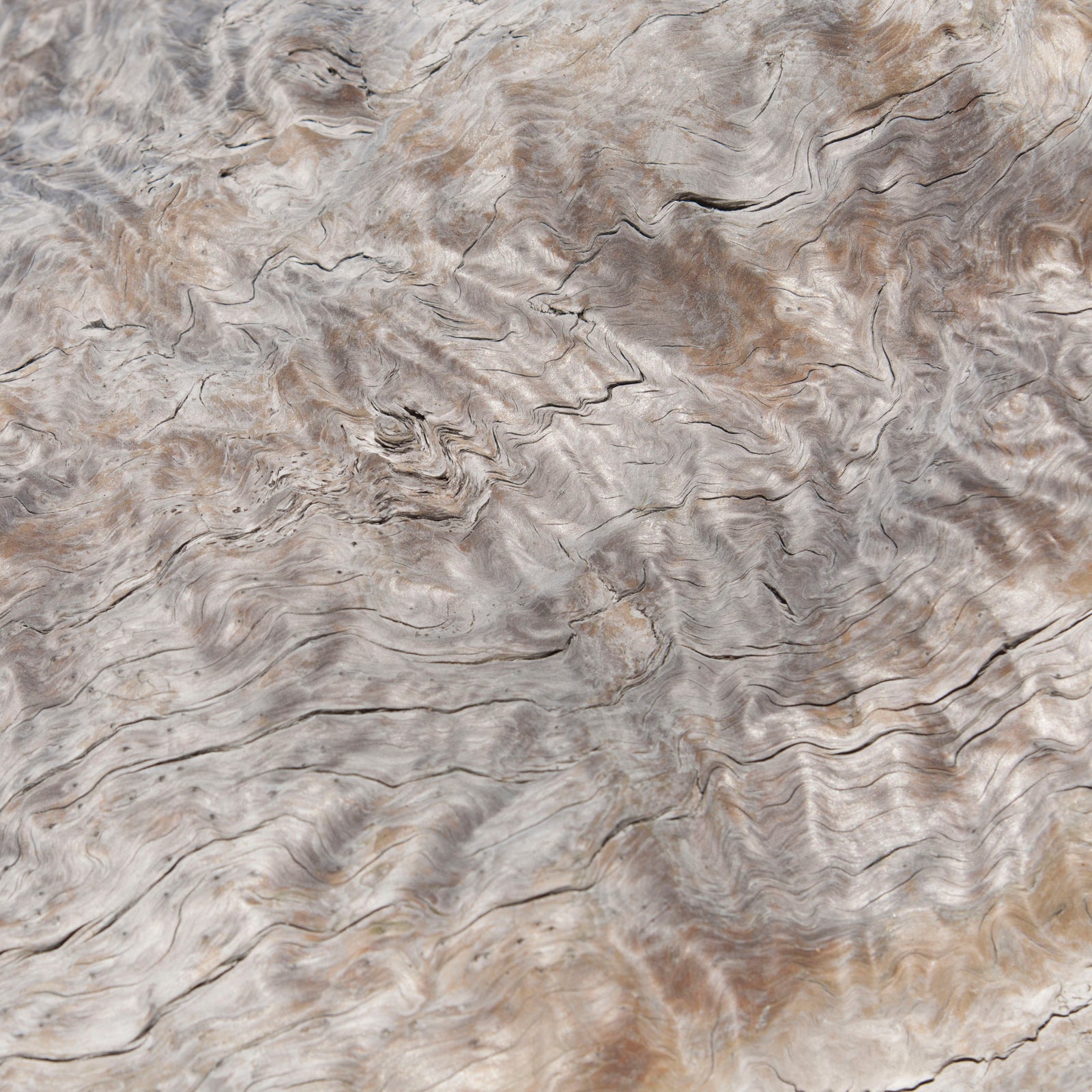 <I>Texture 9: Drift</I><br>Mendocino Coast, California, 2015<br><br>GC0399