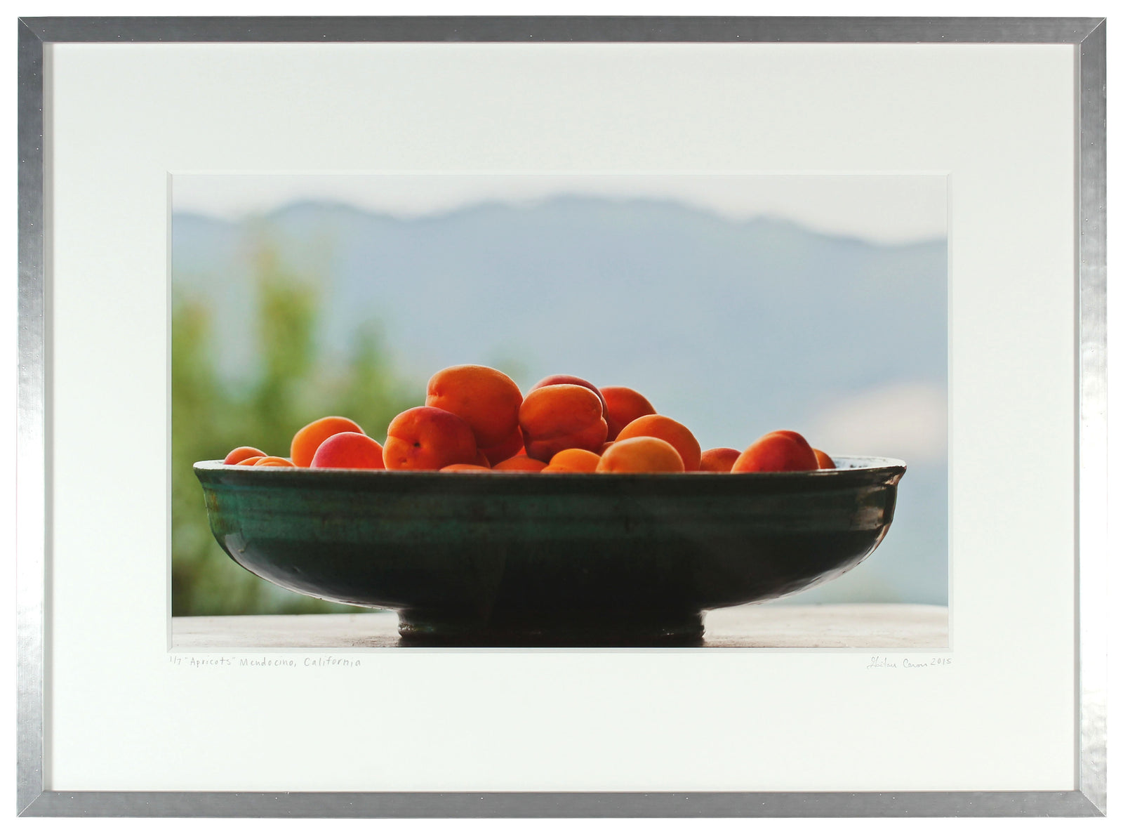 <I>Apricots</I><br>Mendocino, California, 2015<br><br>GC0407