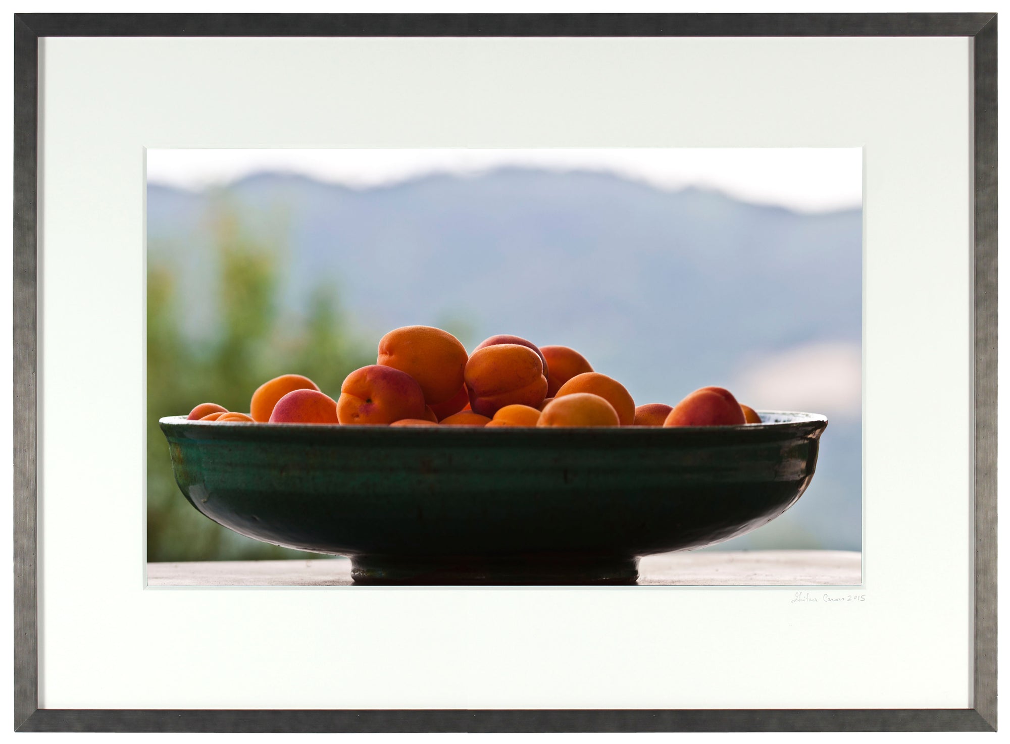 <I>Apricots</I><br>Mendocino, California, 2015<br><br>GC0407