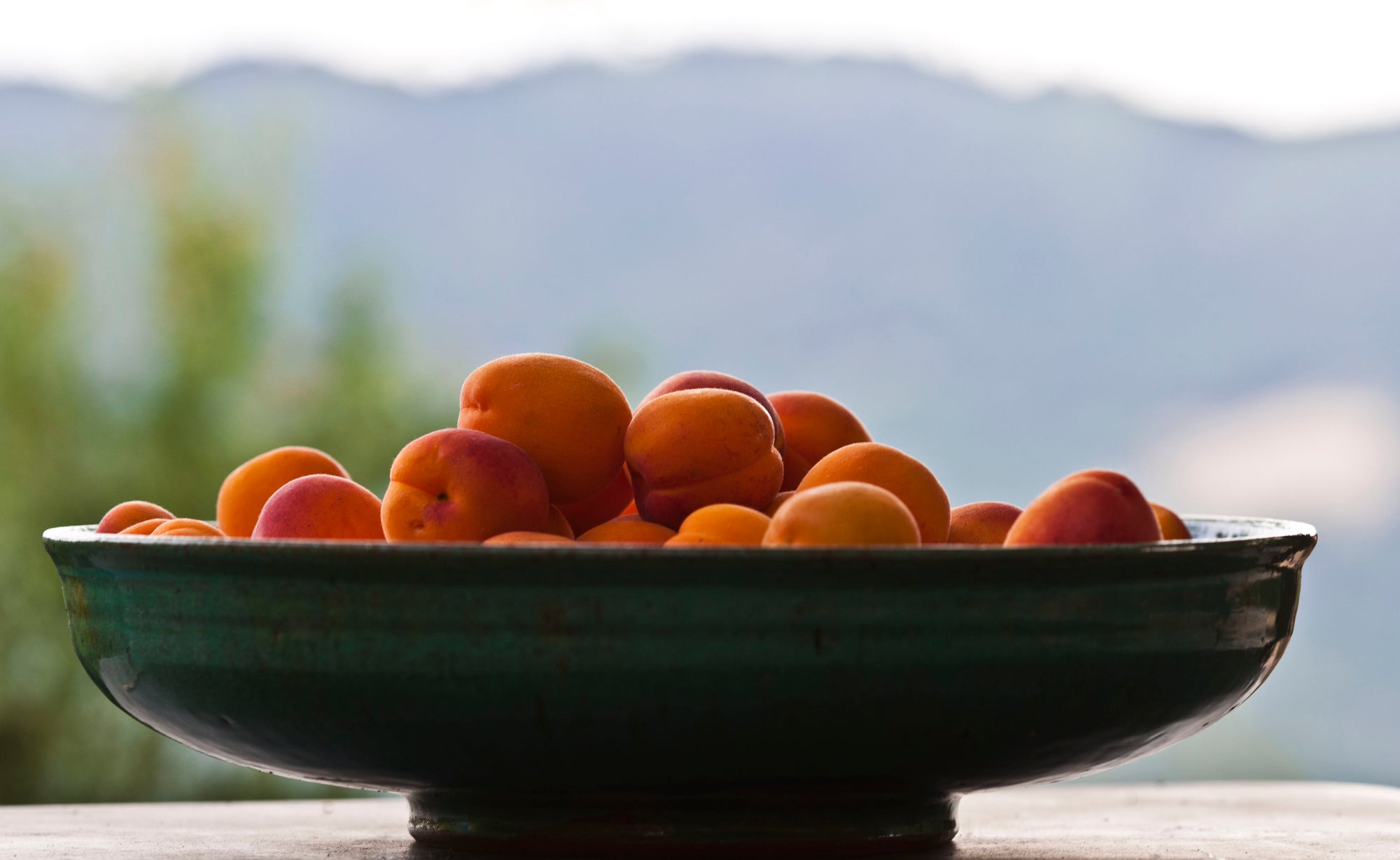 <I>Apricots</I><br>Mendocino, California, 2015<br><br>GC0407
