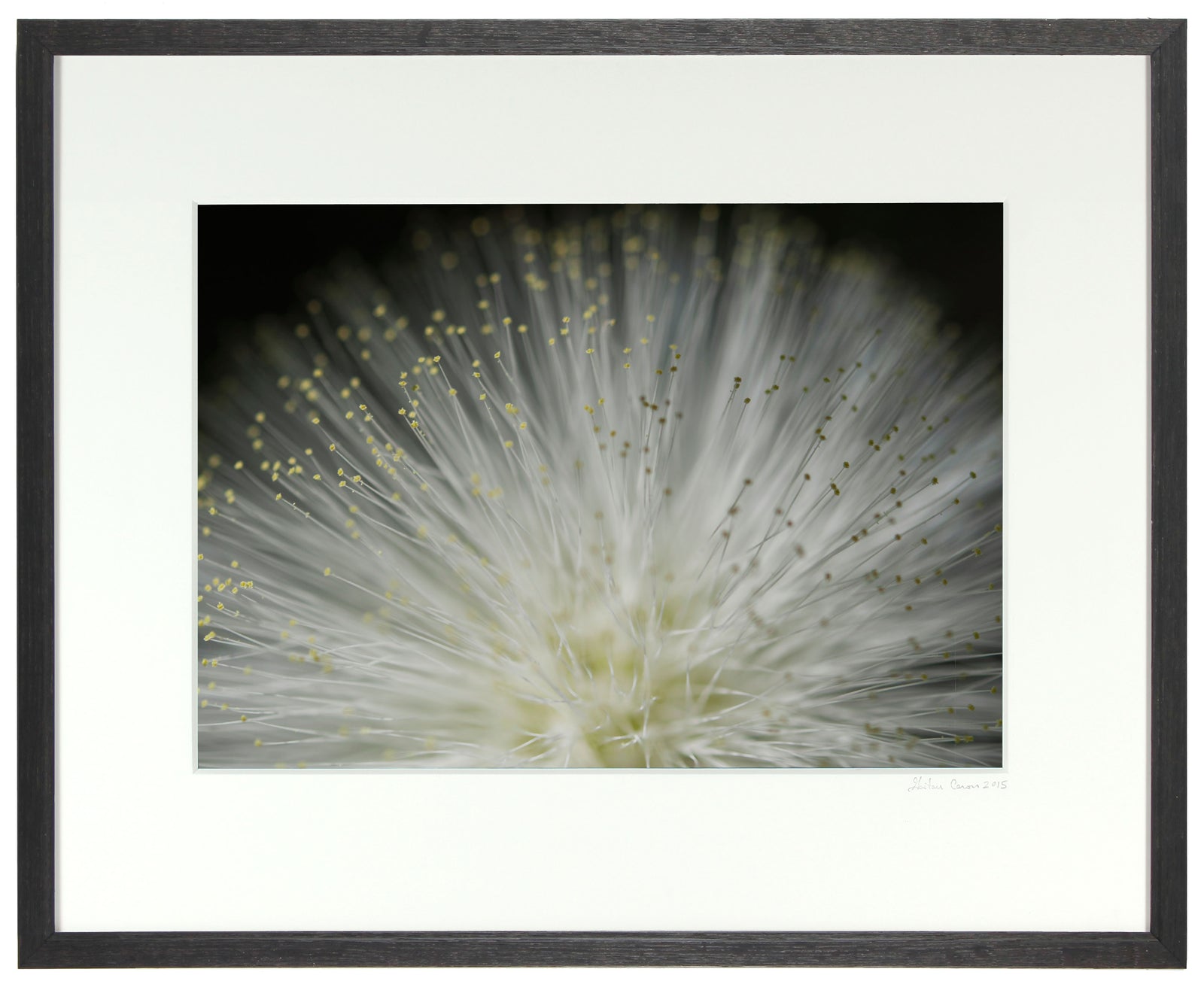 <I>Tropical Stars</I><br>Big Island, Hawaii, 2015<br><br>GC0409