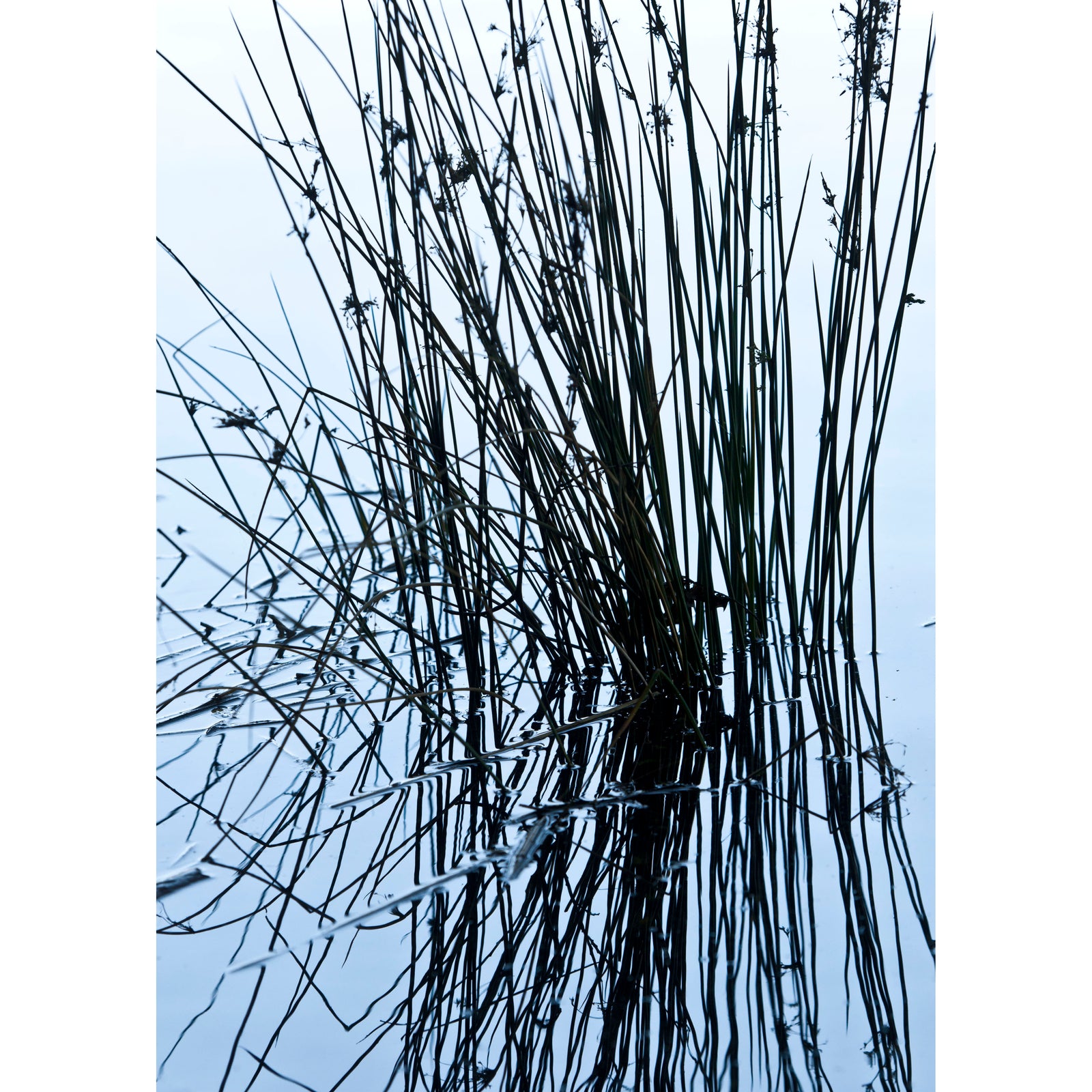 Gaétan Caron Photography - Lost Art Salon