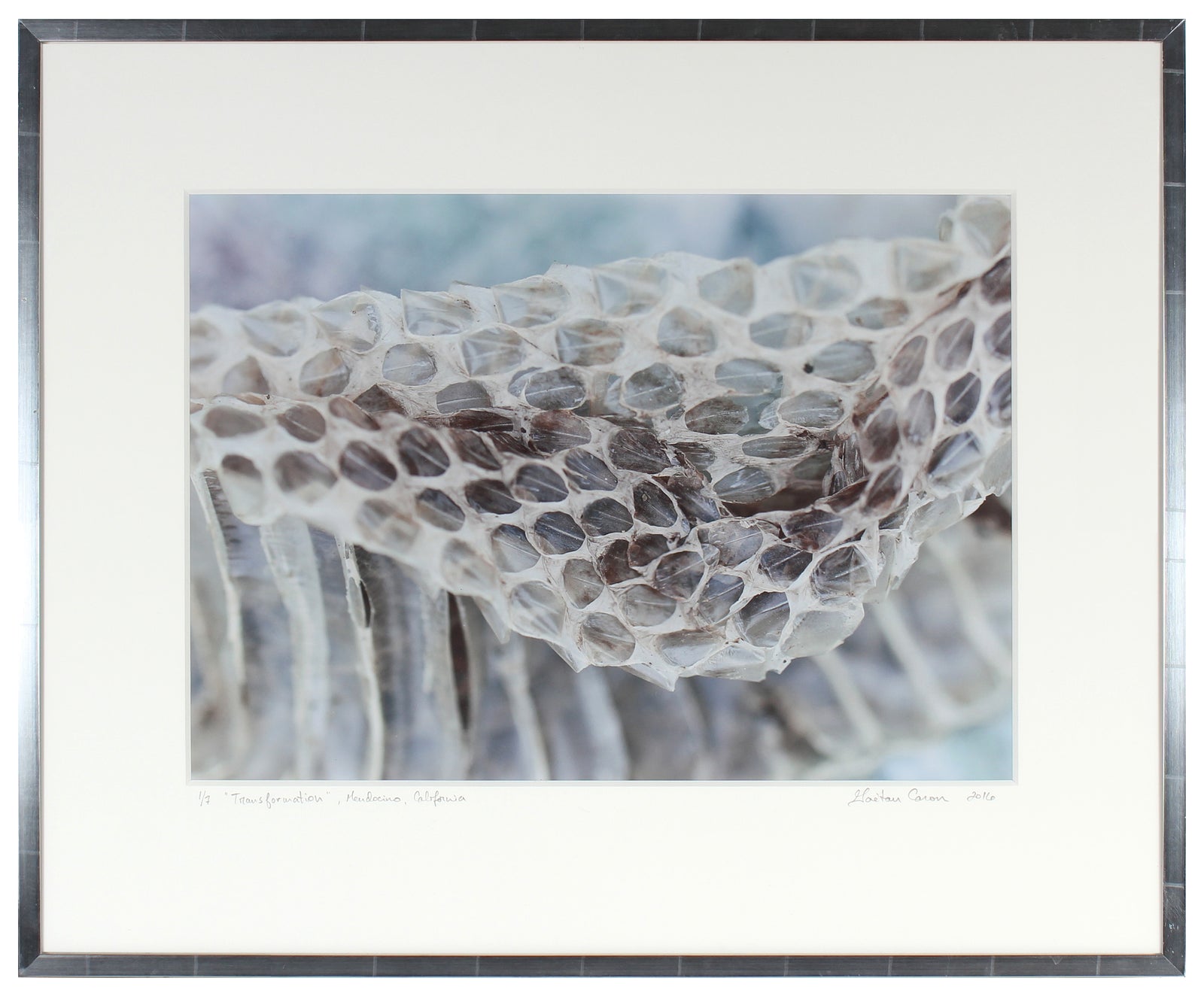 <I>Transformation</I><br>Mendocino, California, 2016<br><br>GC0417